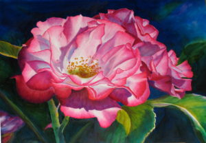 Tracy_s Roses
