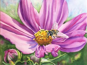 beauty and the bee
