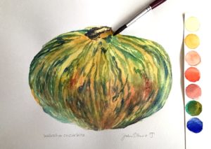 Watercolour 9x12” Gourd Watercolour 9x12”