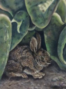 Eileen Schuler_Arizona Bush Bunny