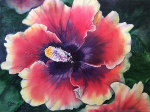 Eileen Schuler_Vibrant Hibiscus